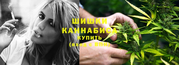 a pvp Куровское
