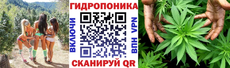 Канабис SATIVA & INDICA  купить наркотики сайты  Горячеводский 